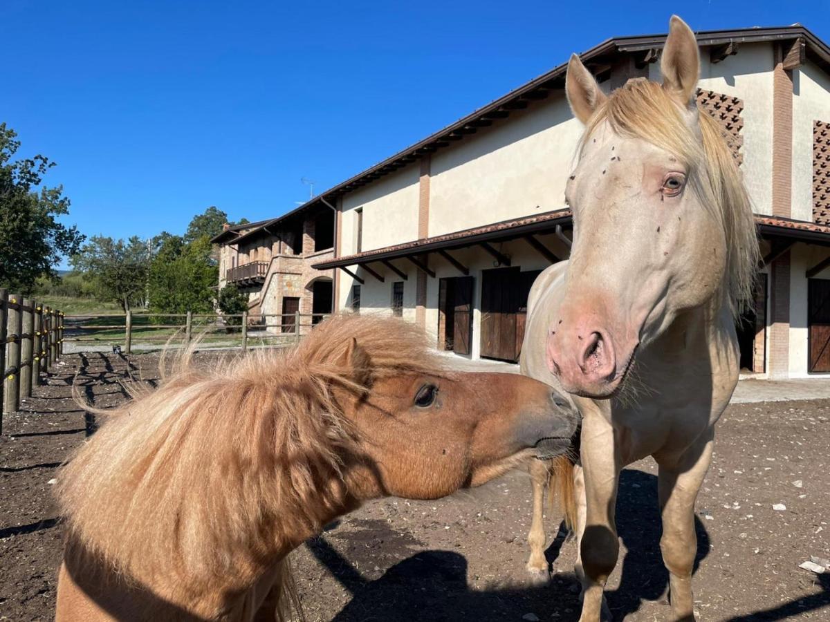 Agriturismo Cergallina Vernasca المظهر الخارجي الصورة