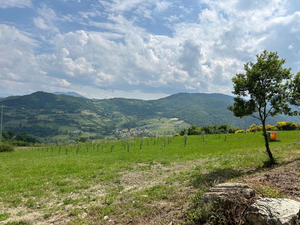 Agriturismo Cergallina Vernasca المظهر الخارجي الصورة